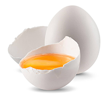 Яйца, выпускаемые птицефабриками, бывают диетическими и столовыми